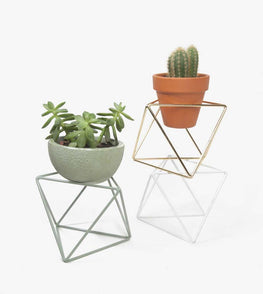 Octahedron