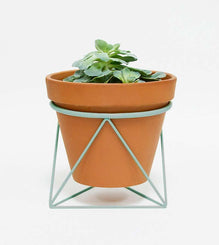 Ring Planter