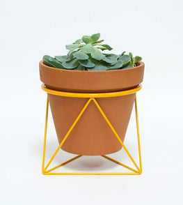 Ring Planter